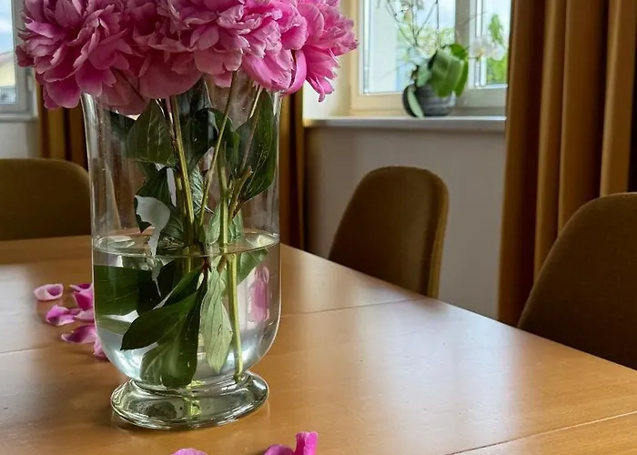 Roemerhaus フォルヒドルフ